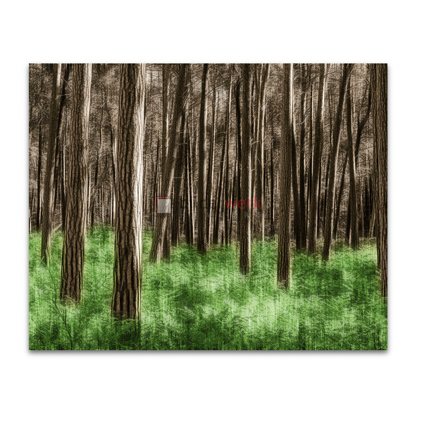 Wald 04